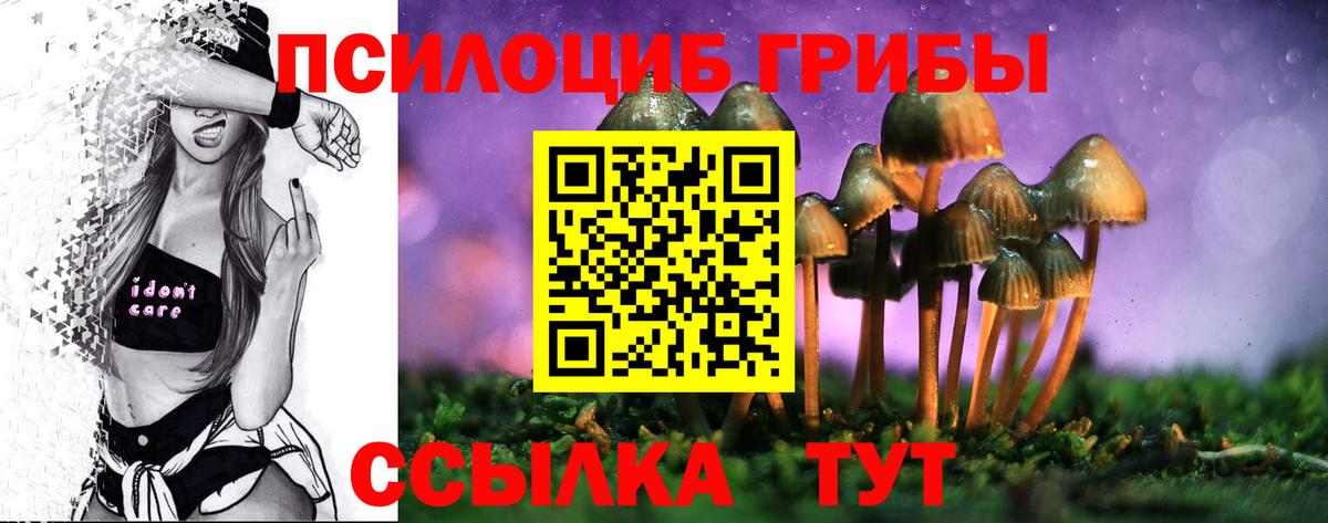 Псилоцибиновые грибы Cubensis Избербаш