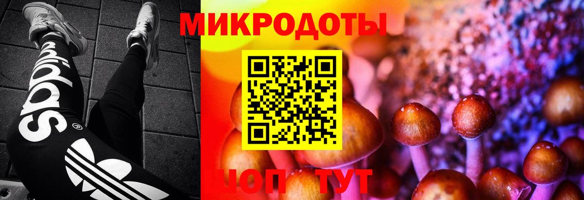 Избербаш  Галлюциногенные грибы мицелий  Вход с VPN  Псилоцибиновые грибы Psilocybine cubensis 