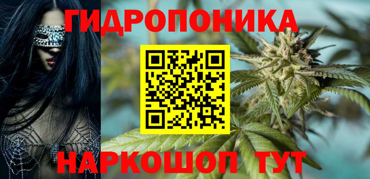 Бошки марихуана марихуана Избербаш